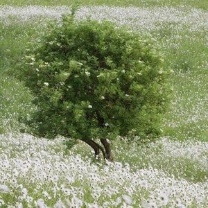 Meet your Posher, Eli